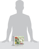 2023 Pokemon TCG World Championships Deck – Gabriel Fernandez …